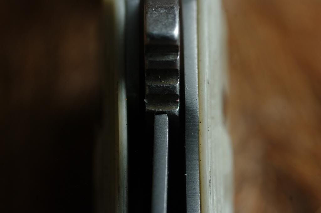 IMGP2589_zpsc1f6fdde.jpg