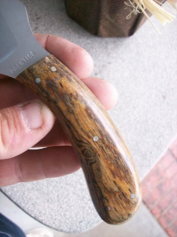 sharpfinger009.jpg