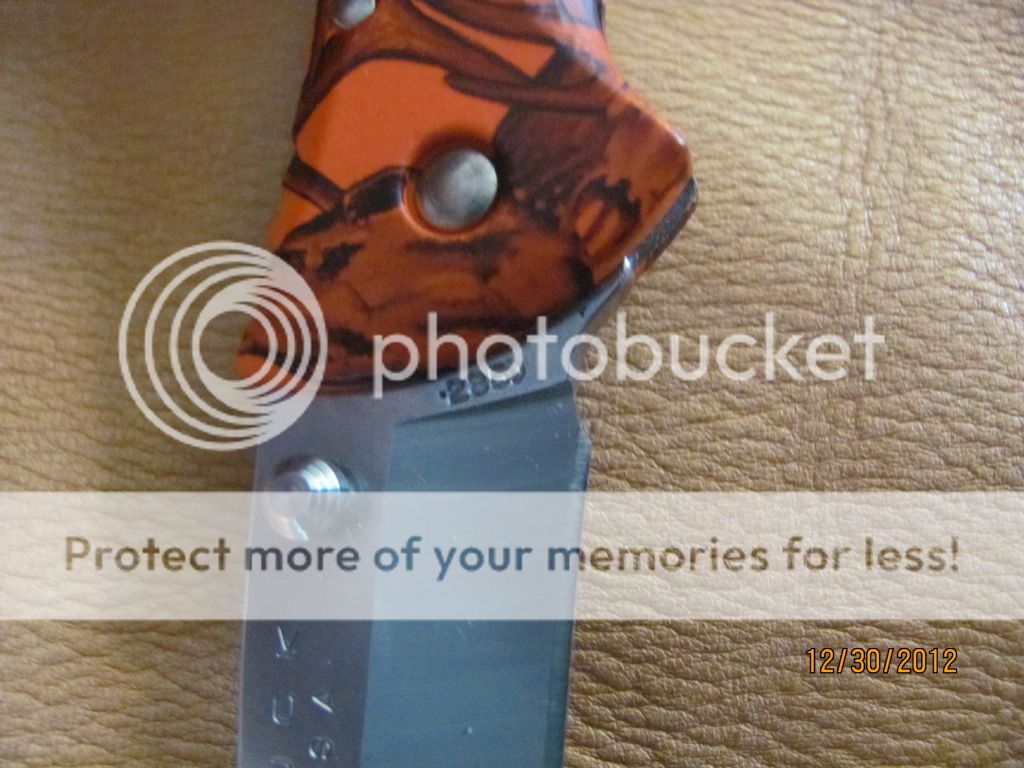 010-17.jpg