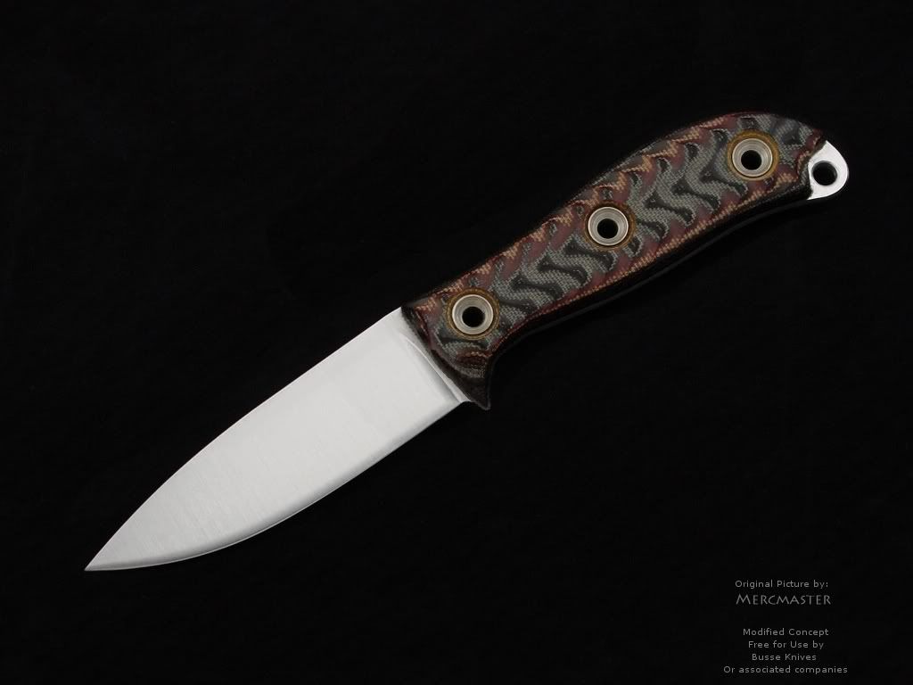 Busse-ADSatinModifiedguard.jpg