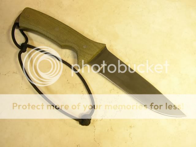 IMGP1155.jpg