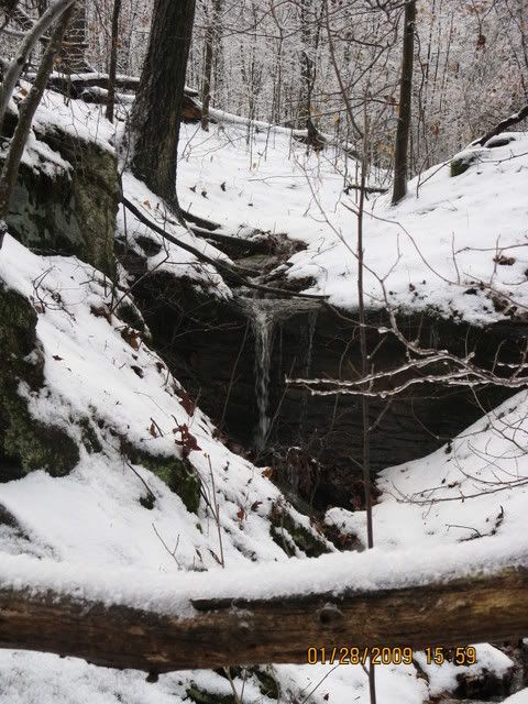 snowdayforthepets093.jpg
