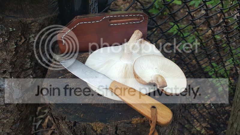 20180728_080256_zpsm1mwxdd4.jpg
