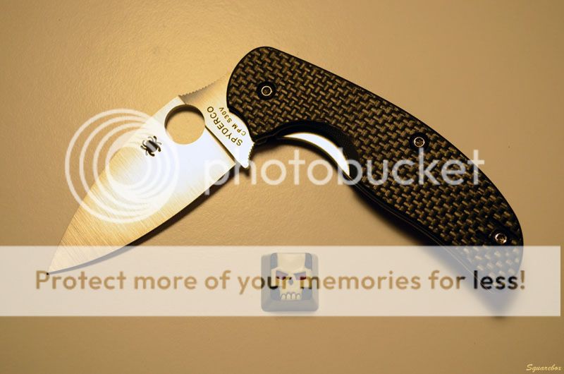 Sage2_zps6345016d.jpg