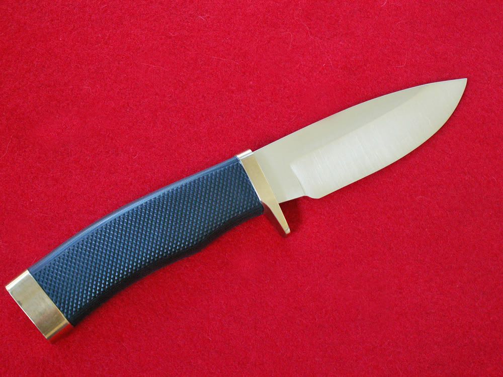 Buckcotevanguard4.jpg