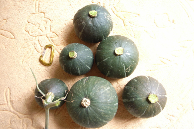 2011.10.19.R0025451.JPG