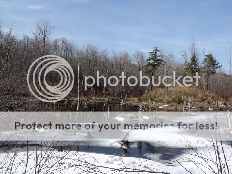DSCF2177.jpg