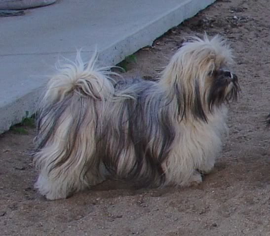 Sophie-WhataBeautifulCoat.jpg