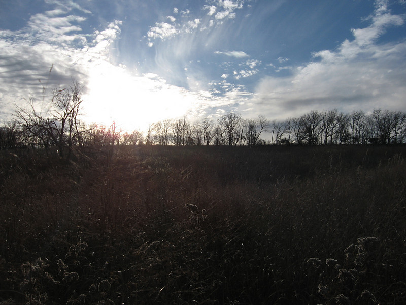 727069915_P65ak-L.jpg