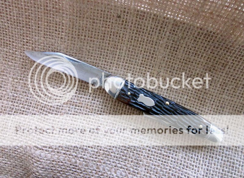 IMG_2741.jpg~original