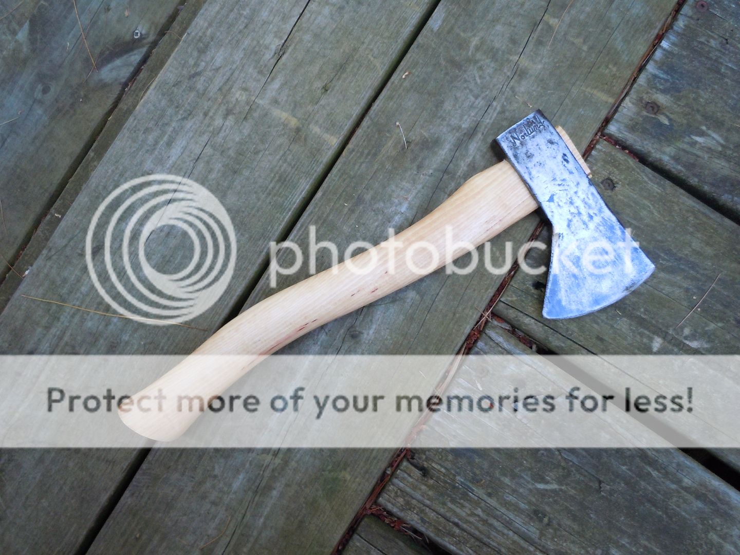 DSCN1138.jpg