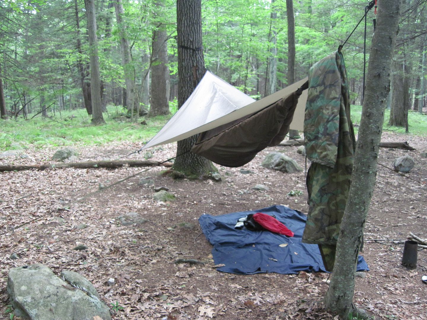 IMG_3405.jpg