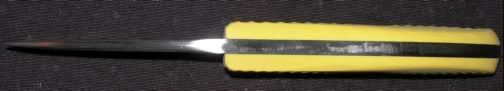 SAR1004.jpg