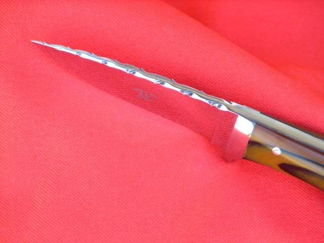SS850074.jpg