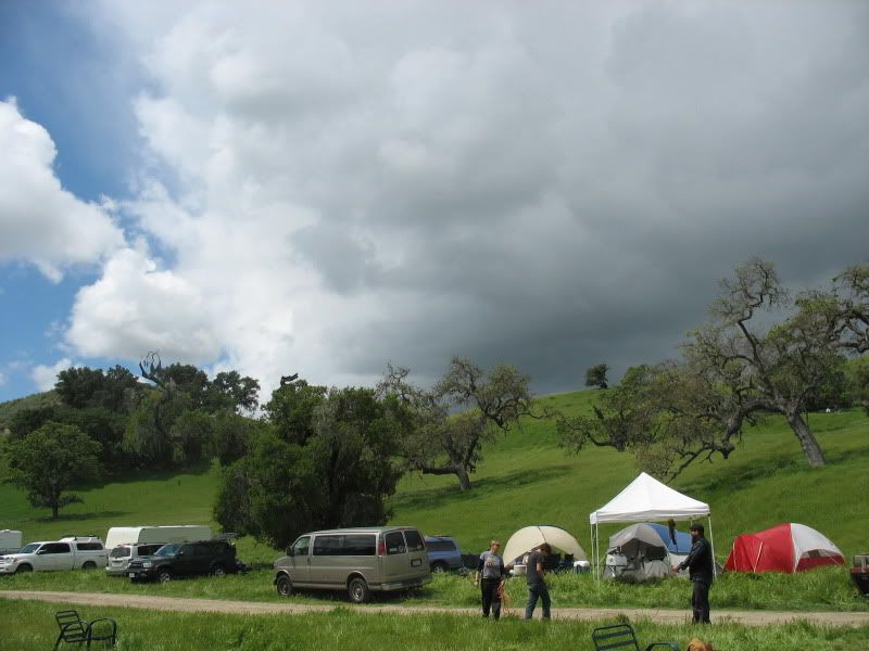IMG_9586.jpg