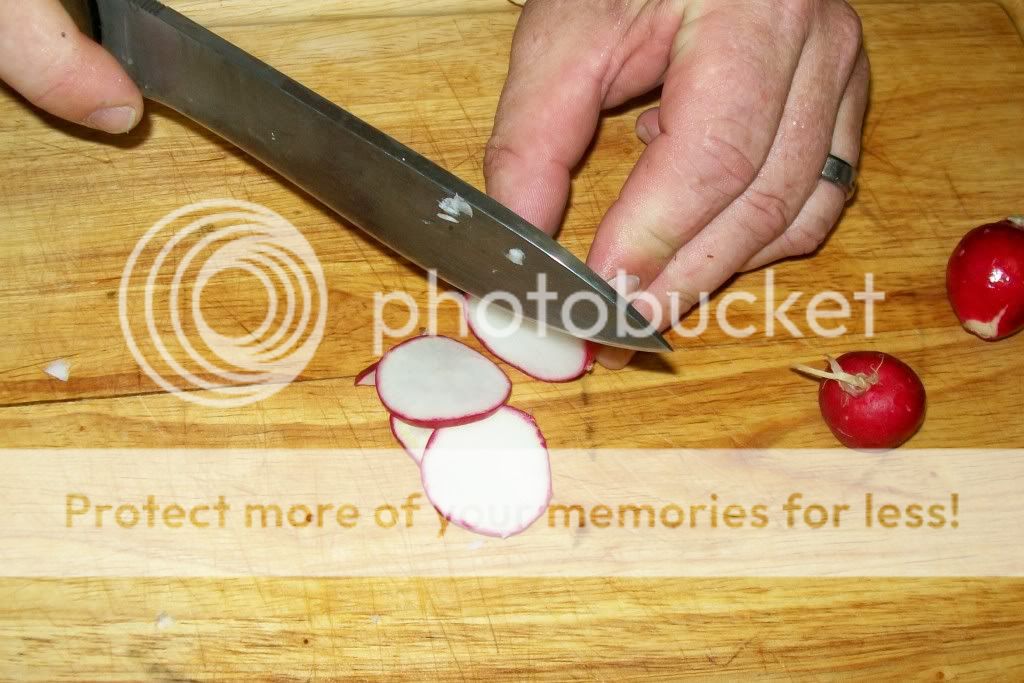 radish.jpg