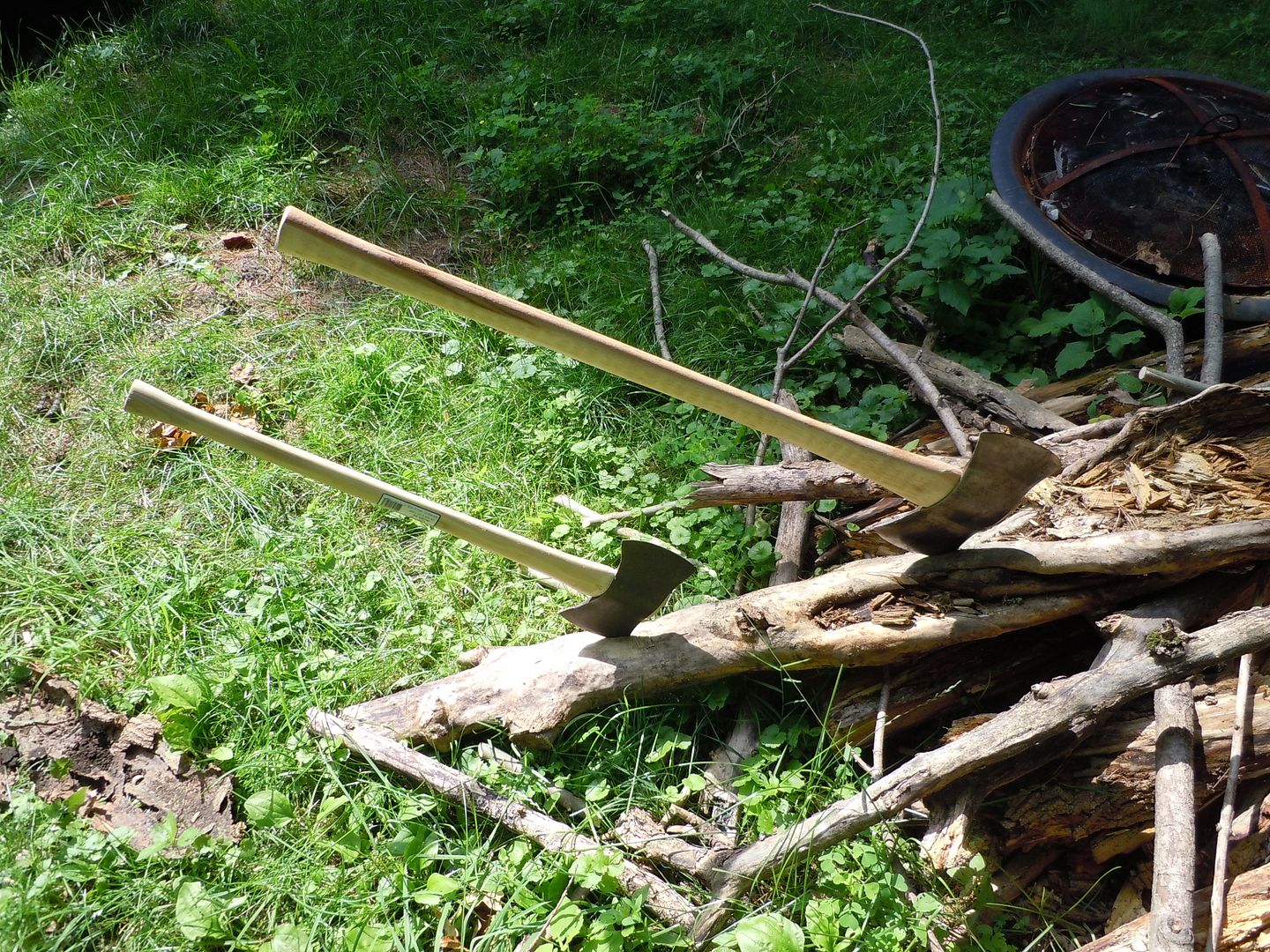 DSCN0922.jpg