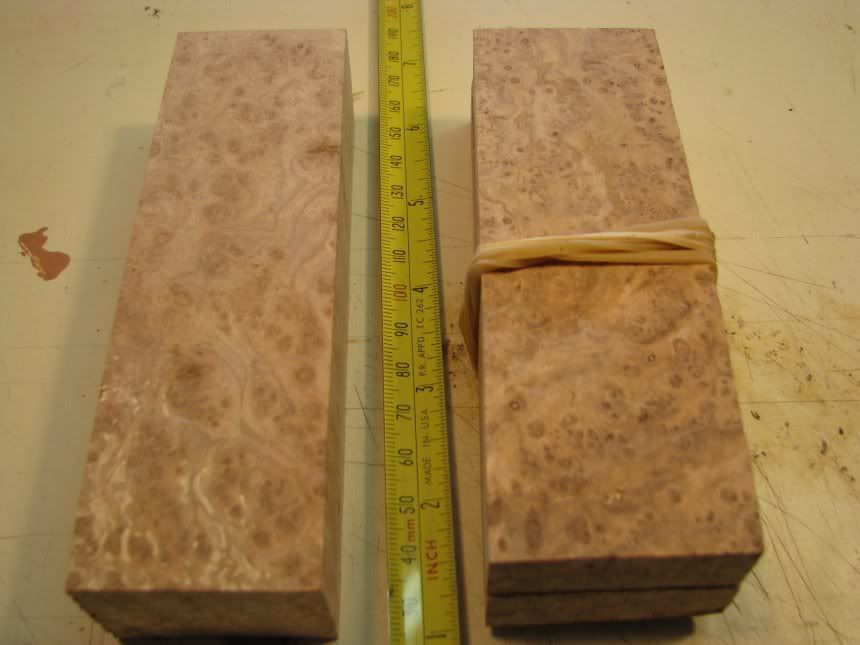 BlAsh-scale-03.jpg