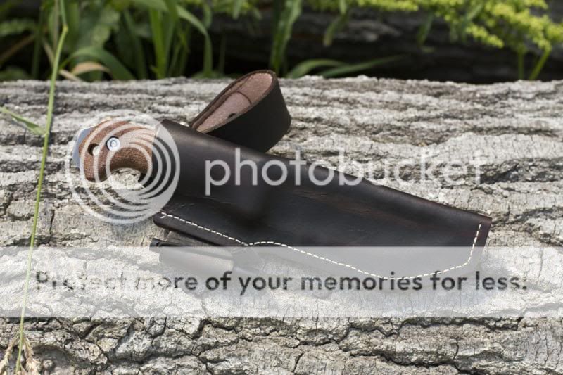 stk24_zpsa2f8dd8b.jpg