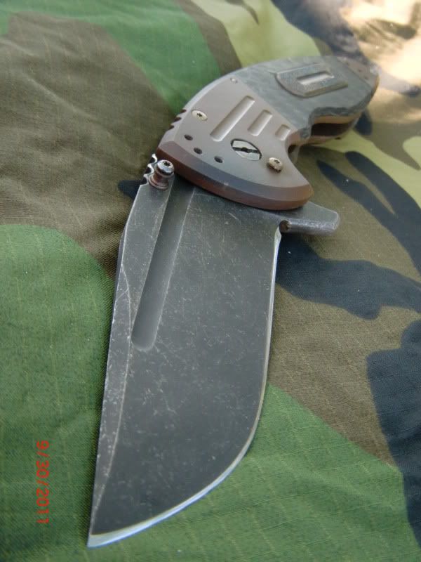 CIMG1497.jpg