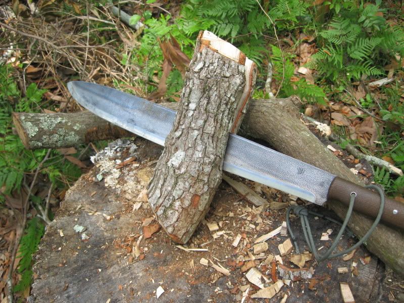 Koyote002.jpg