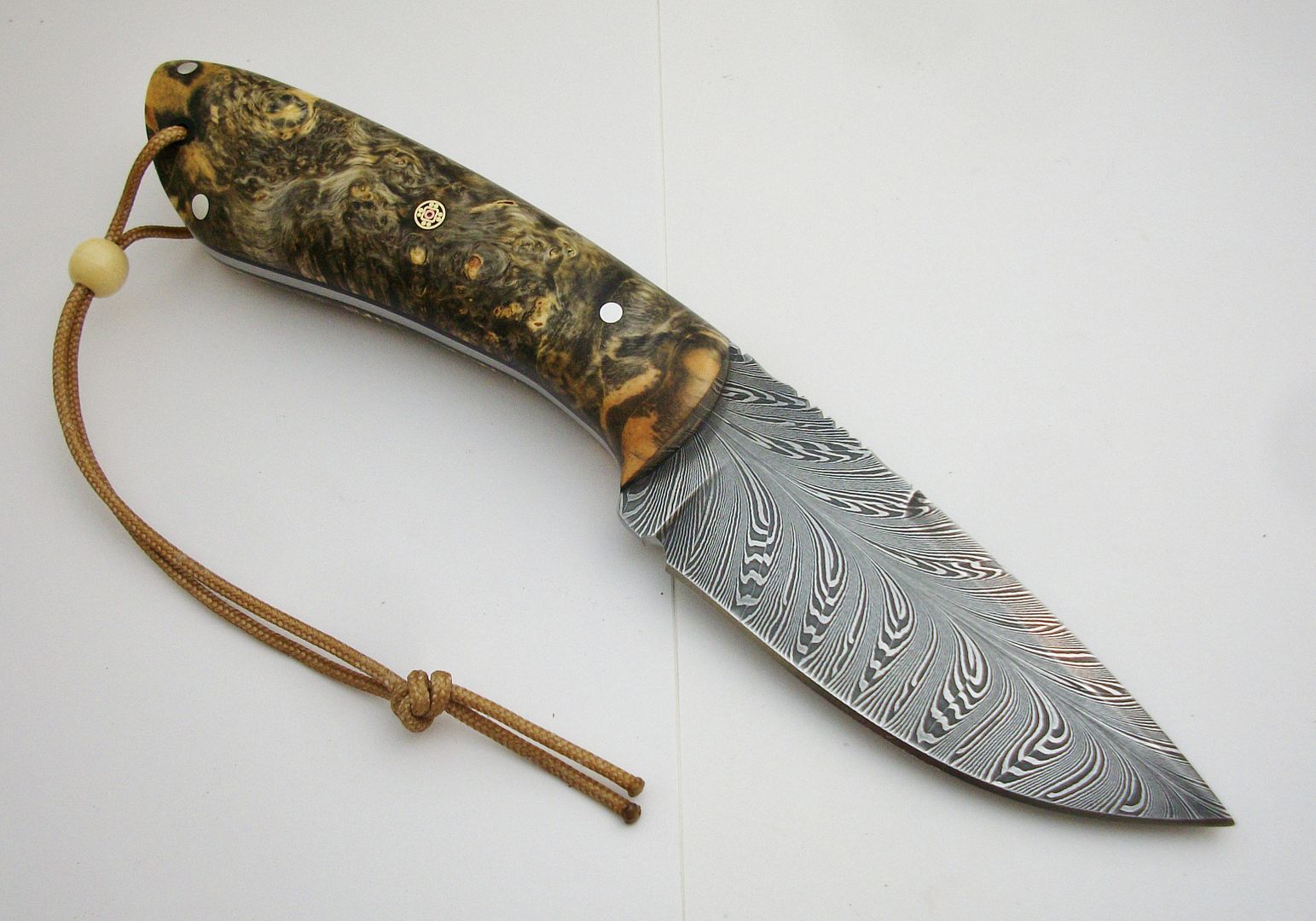 TYWS008_zps54ce25d2.jpg