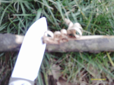 IMAG0053.JPG