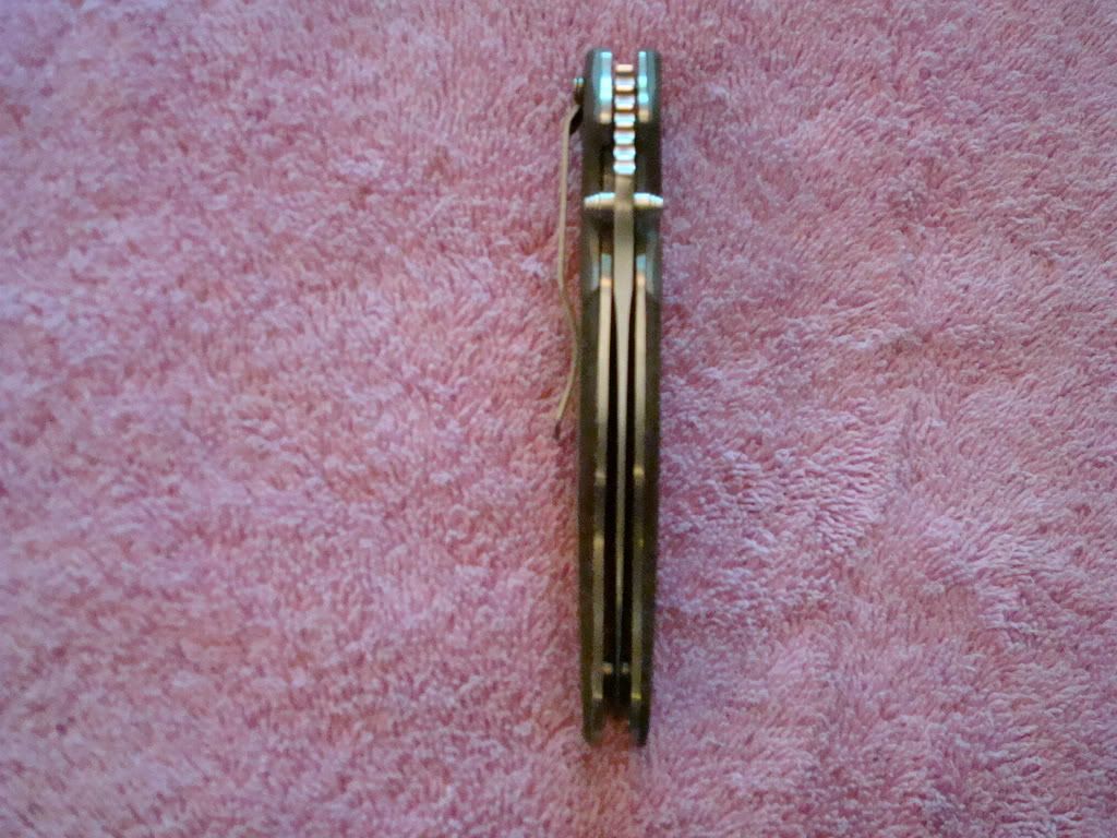 DSC00779.jpg