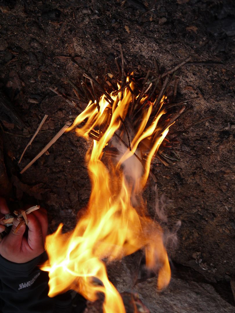 P1000454.jpg