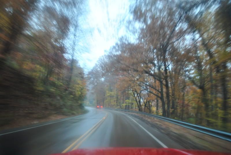 DSC_8603.jpg