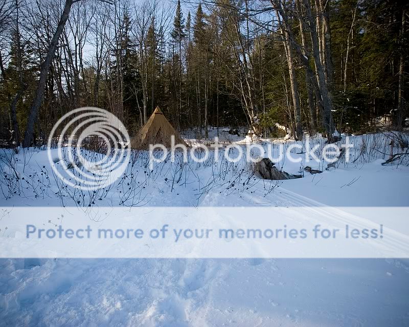 IMG_5056.jpg