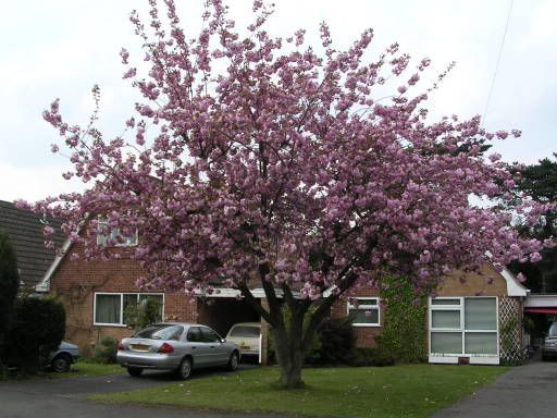 may06001.jpg
