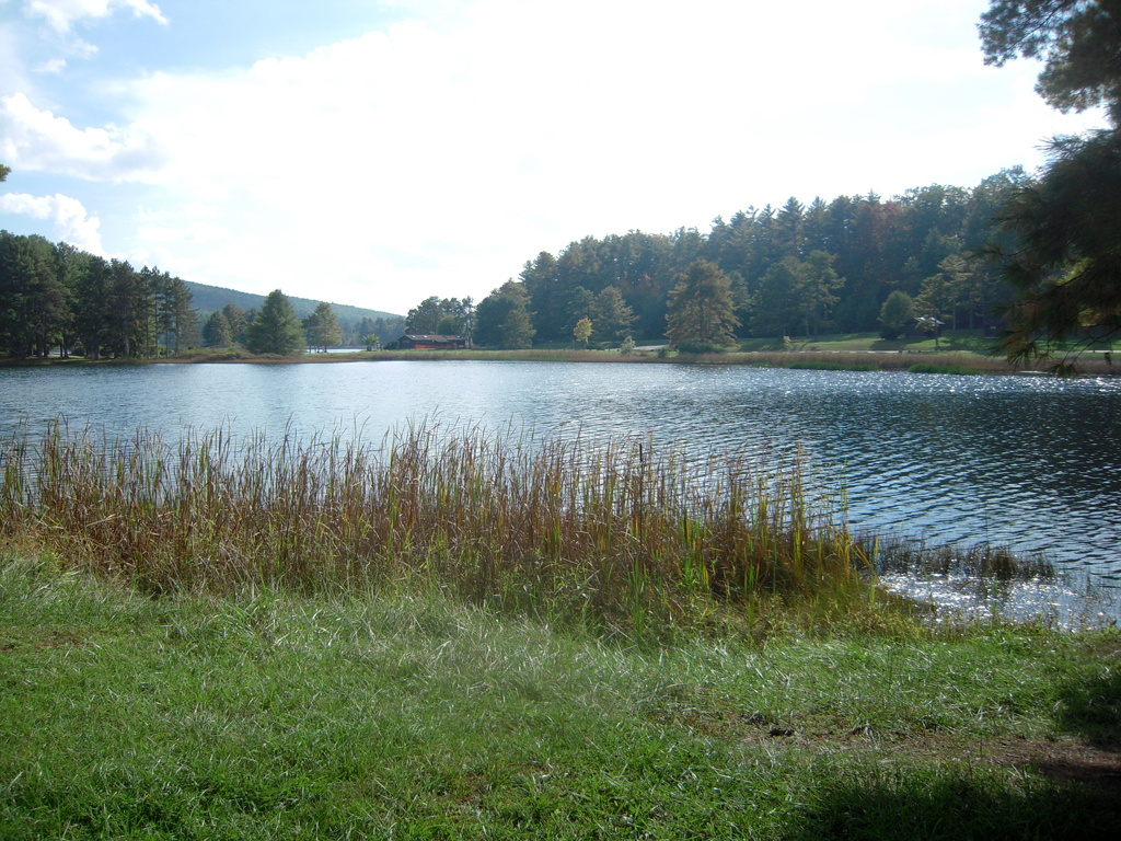 10120128424_3751c1ba0d_o.jpg
