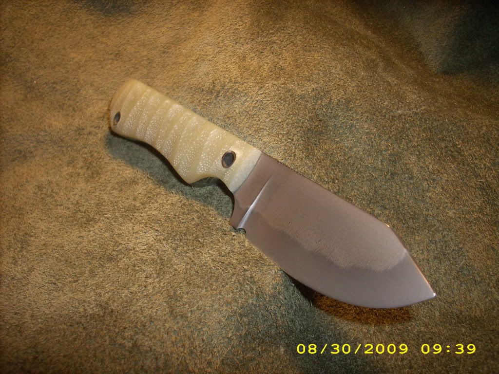 DSCI0852-1.jpg