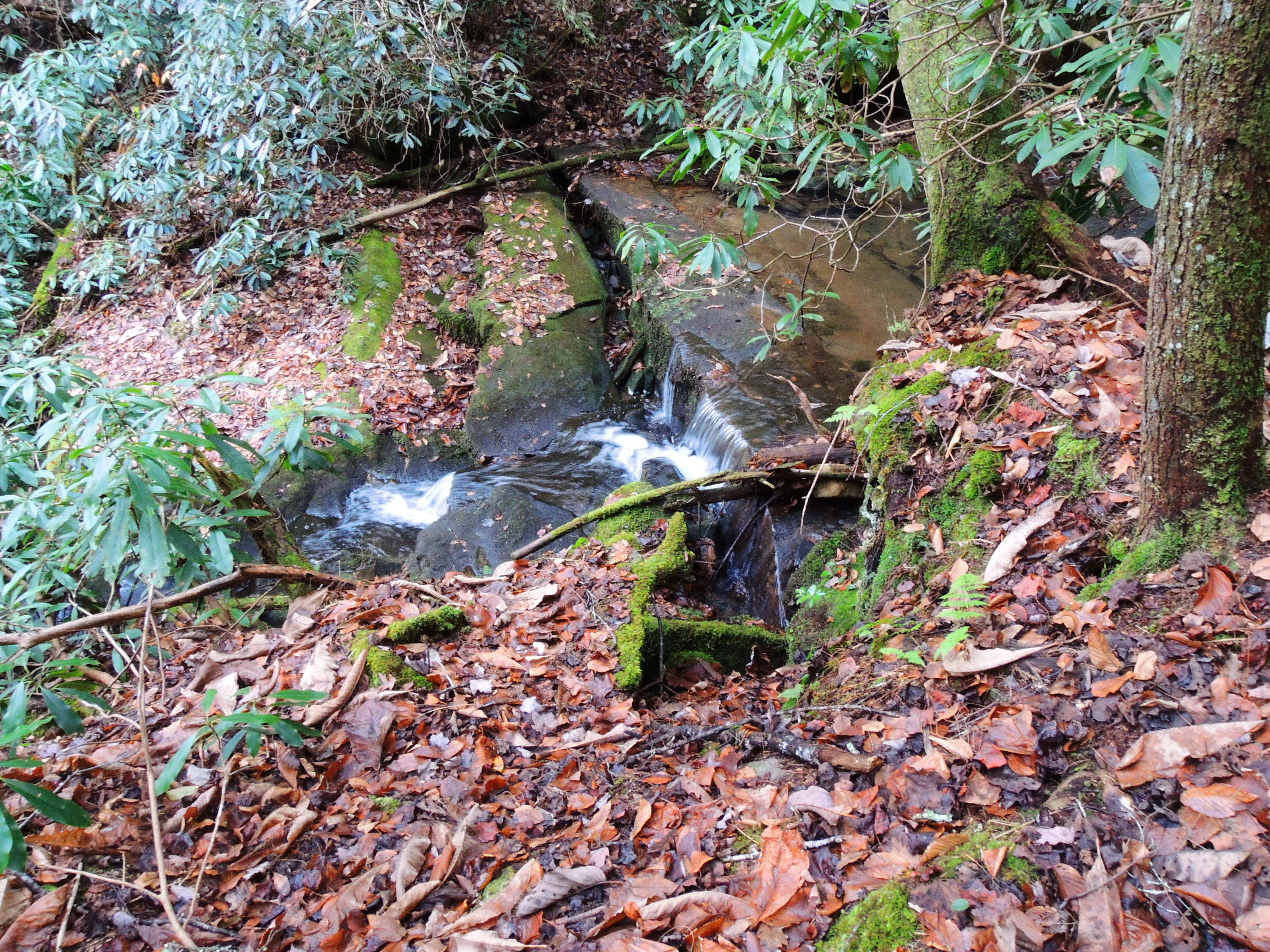 dscn4899r.jpg