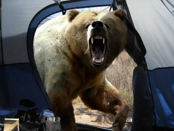 camping-canada.jpg