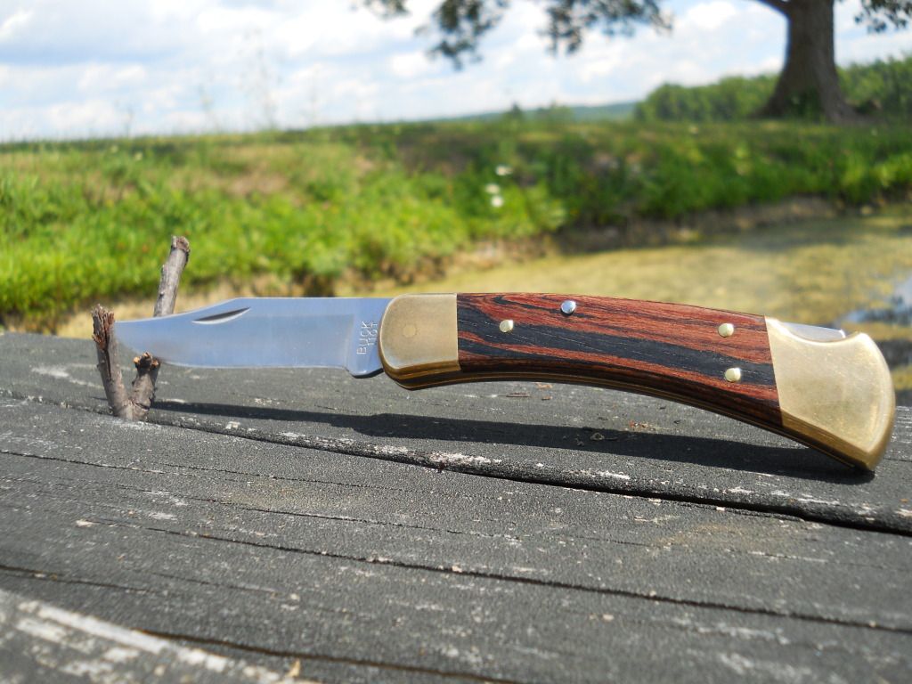 Buck110004.jpg
