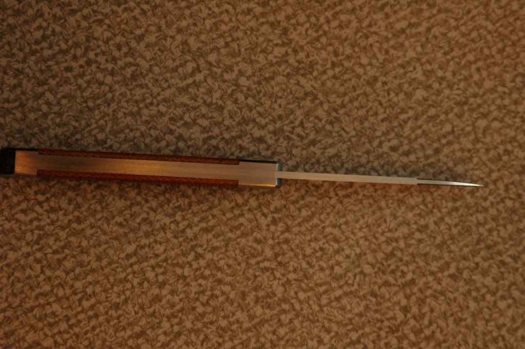 DSC_9560.jpg