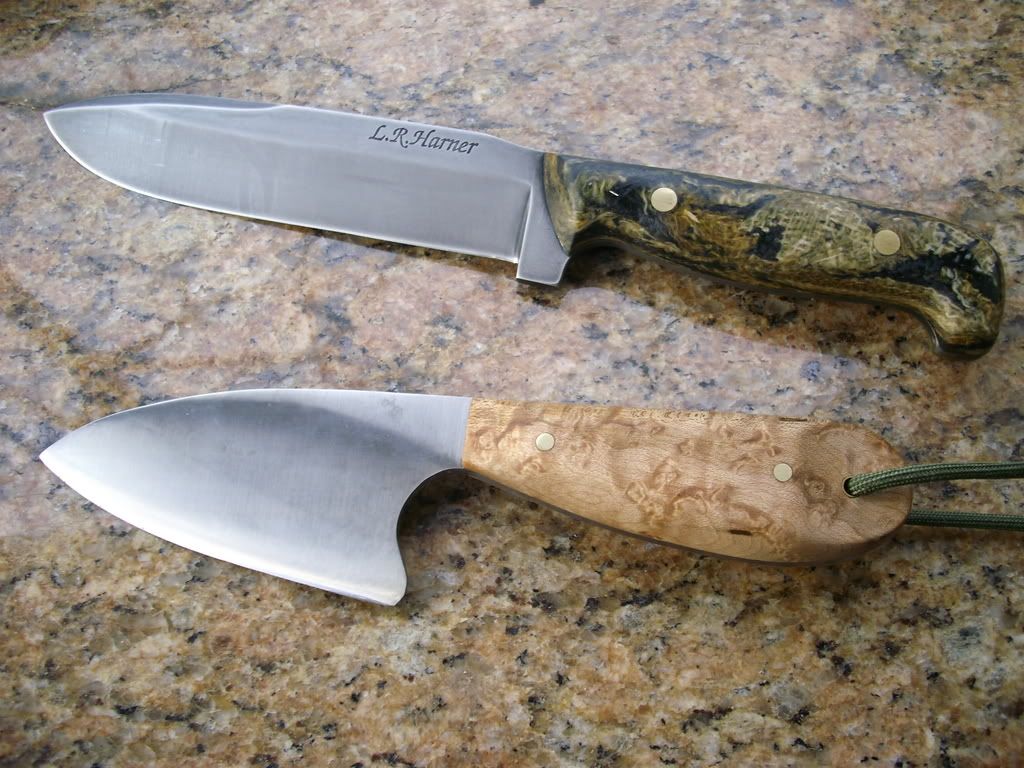 DSCI0380.jpg