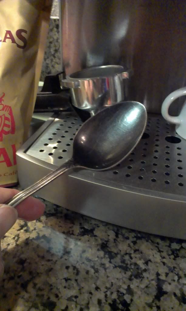 IMAG0331.jpg