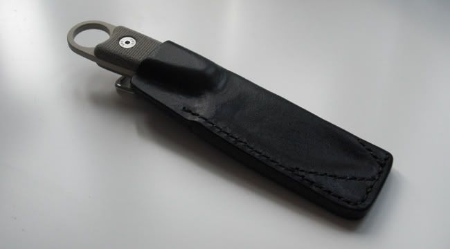 IzulaSheath2.jpg