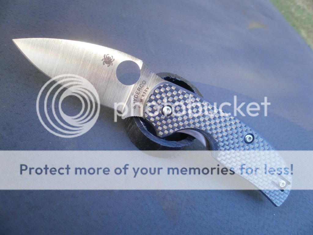 P9280138_zps1aa94dce.jpg