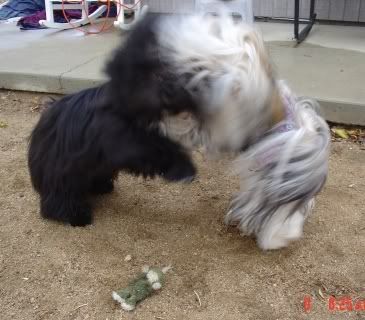 DancerSophieFight1.jpg
