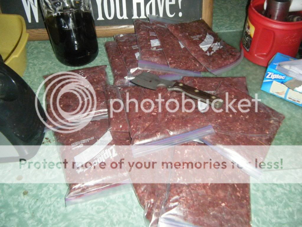 DSCF9556.jpg