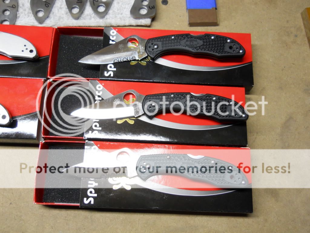 DSCN3387.jpg