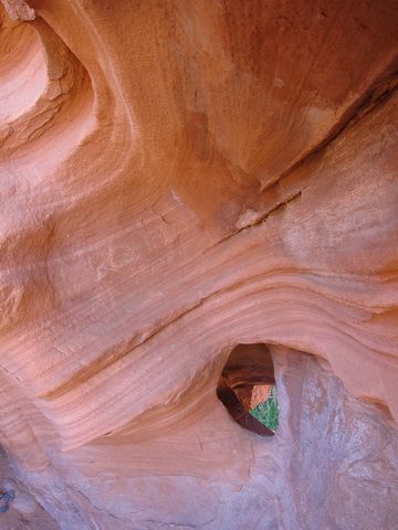 IMG_2535.jpg