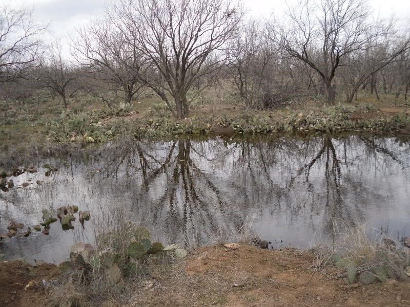 SDC13100.jpg