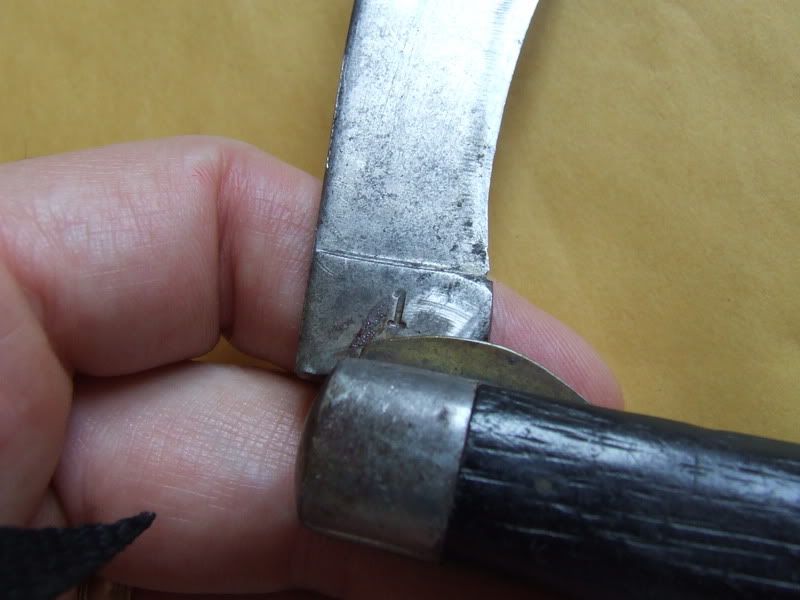 DSCF1406.jpg