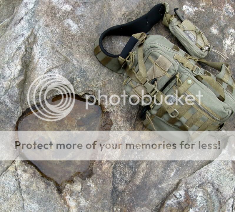 IMG_3098.jpg