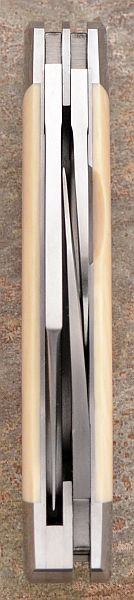 rbose-358ivoryDEcattleproto-5.jpg
